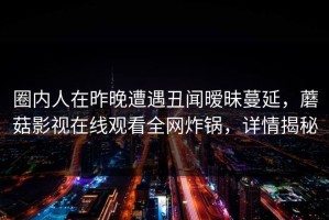 圈内人在昨晚遭遇丑闻暧昧蔓延，蘑菇影视在线观看全网炸锅，详情揭秘