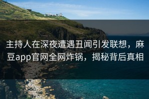 主持人在深夜遭遇丑闻引发联想，麻豆app官网全网炸锅，揭秘背后真相