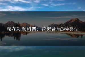 樱花视频科普：花絮背后3种类型