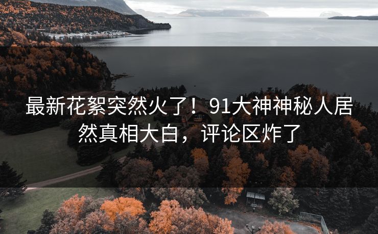 最新花絮突然火了！91大神神秘人居然真相大白，评论区炸了