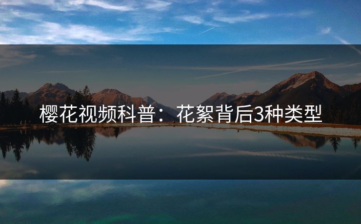 樱花视频科普：花絮背后3种类型