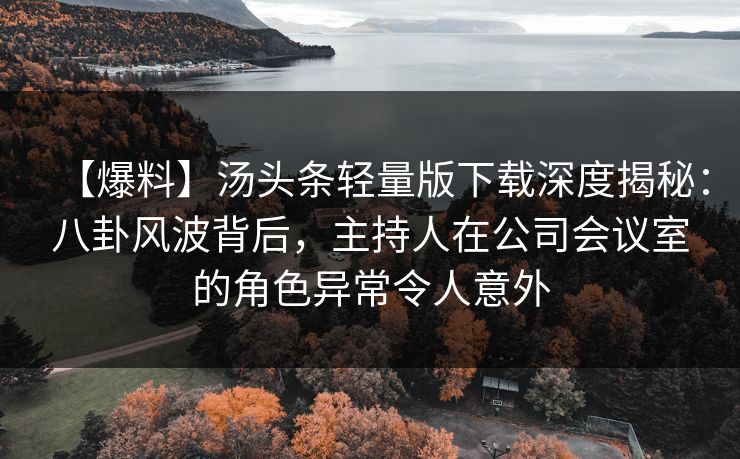 【爆料】汤头条轻量版下载深度揭秘：八卦风波背后，主持人在公司会议室的角色异常令人意外